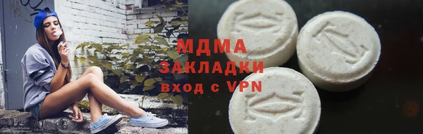 индика Богородицк