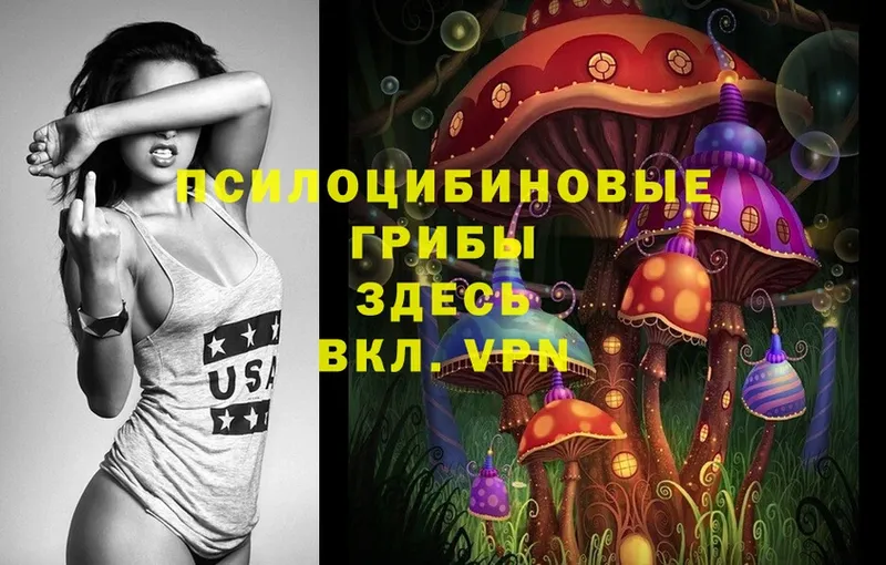 Псилоцибиновые грибы Cubensis  Надым 